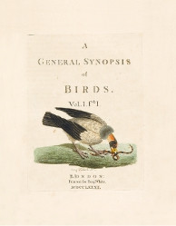 A general synopsis of birds